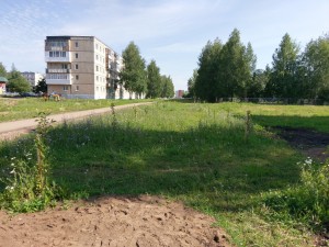 IMAG1639.jpg